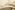 tiss_437