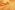 tiss_447