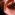 tiss_469