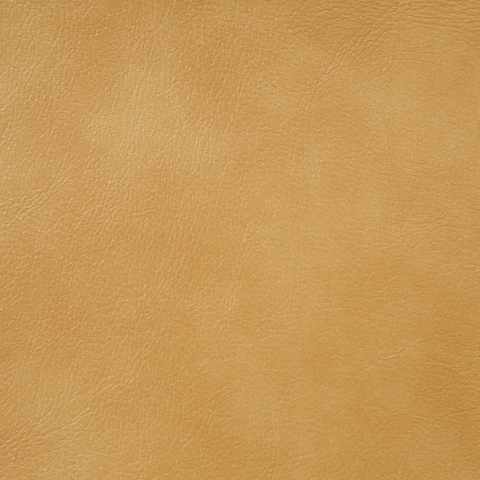 material_479