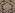 tiss_1041