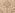 tiss_1044