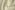 tiss_265