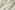 tiss_266