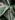 tiss_290