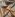 tiss_291