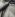 tiss_296