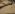 tiss_298